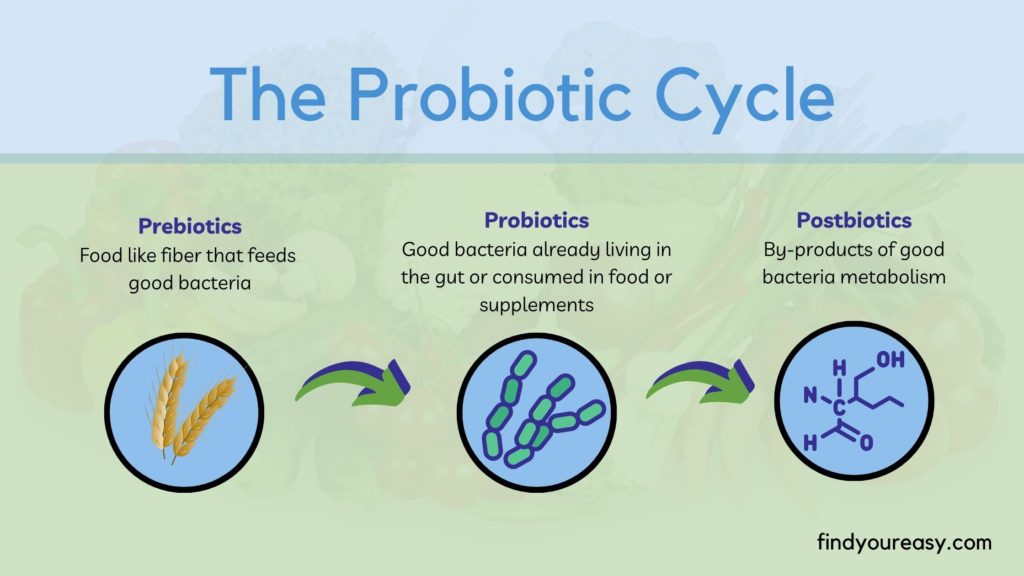 prebiotic-probioitic-postbiotic