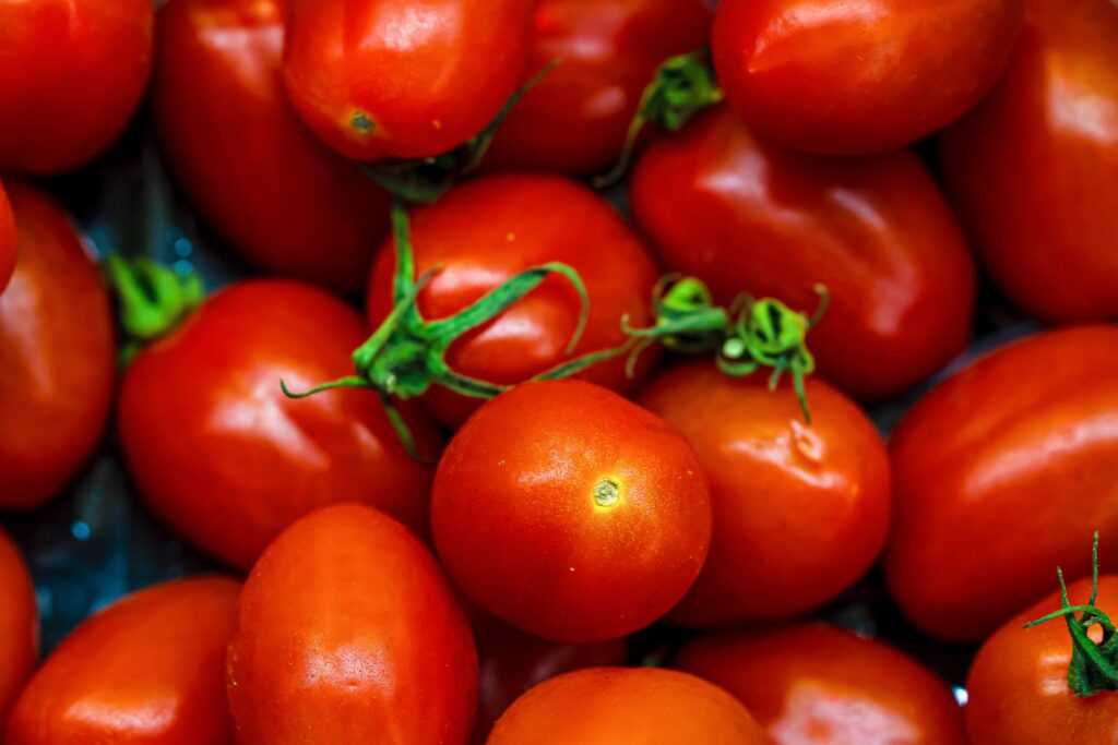 red ripe tomatoes