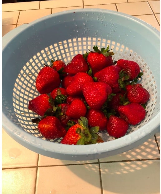 Strawberries in blue colander.