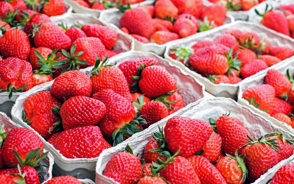 boxes of picked strawberries